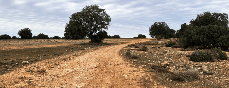 el tiempo y su relato