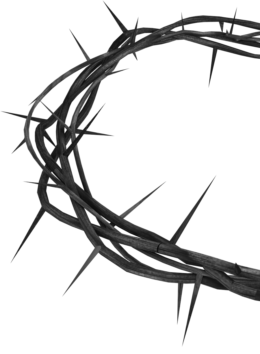 corona de espinas (i)