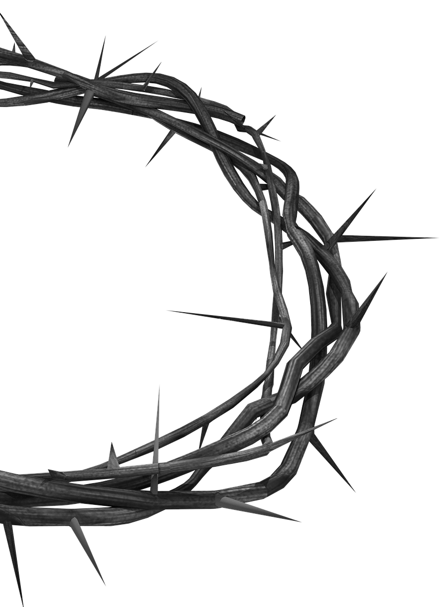 corona de espinas (ii)