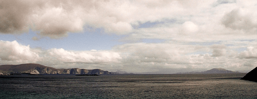 de la anatomía y sus encuentros